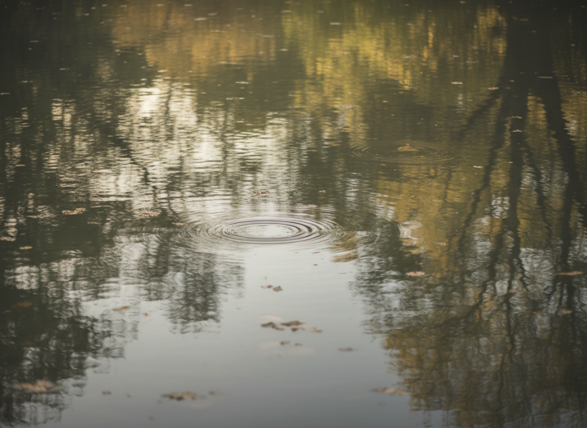 Ruhige Wasseroberfläche mit sanften Reflexionen überhängender Zweige und weichem Licht